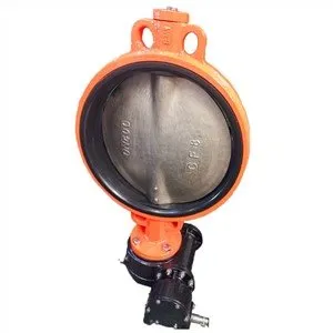 Bray koncentrískir fiðrildalokar