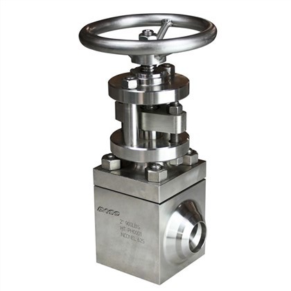 Inconel Globe Valve